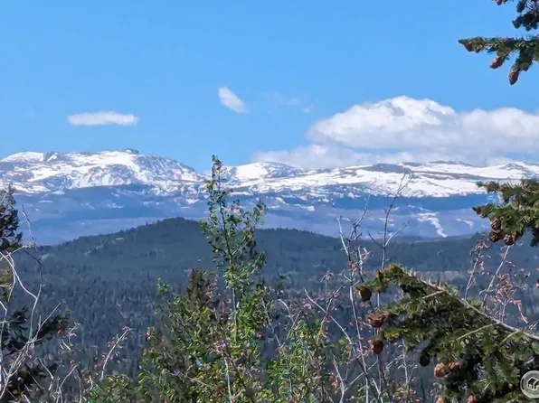 250 Mattapony Way, Red Feather Lakes, CO 80545