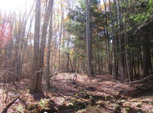 Gordon Brook Rd, Scio, NY 14880