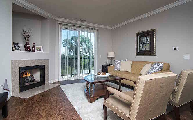 Designer Unit Living Room
