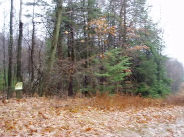 Grassy Pond Rd, Sweet Valley, PA 18656