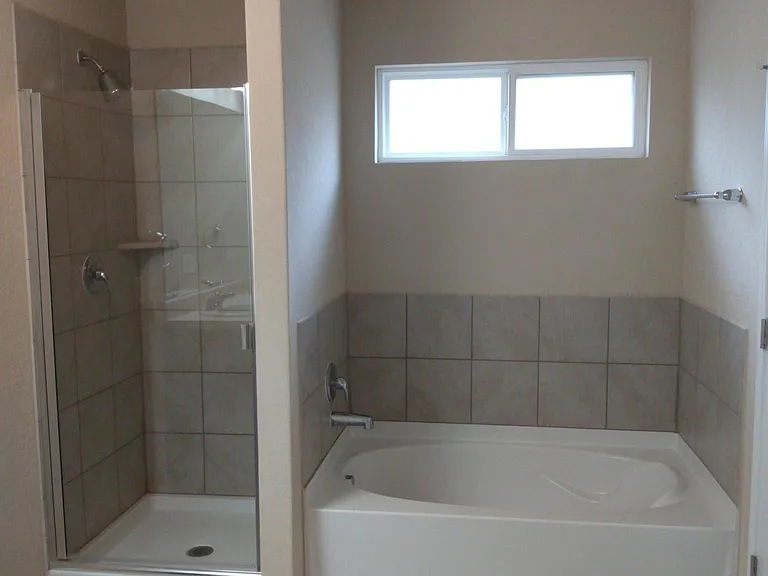 Master shower and garden tub
