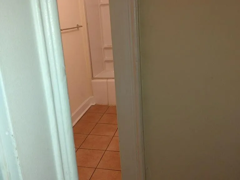 306 W Locust St #3 — Photo 2