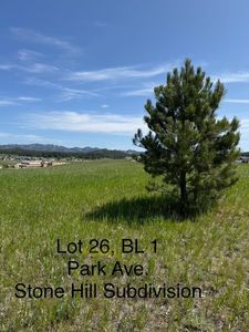 LOT 26 Park Ave, Custer, SD, 57730