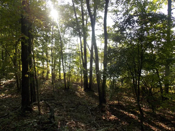 59 Westwind Harbour Rd, Lincolnton, GA 30817