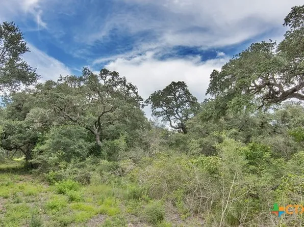 TRACT 8 Private Road 4601, Edna, TX 77957