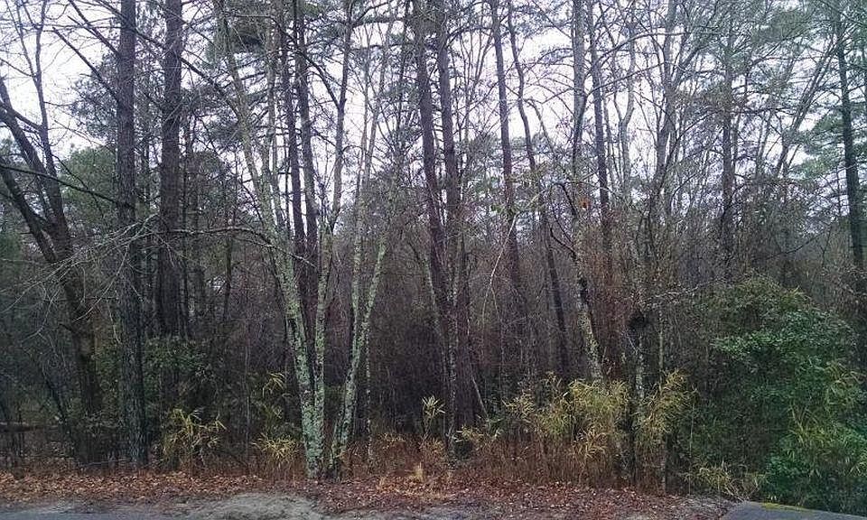 1st image of 25 Greenville Ln