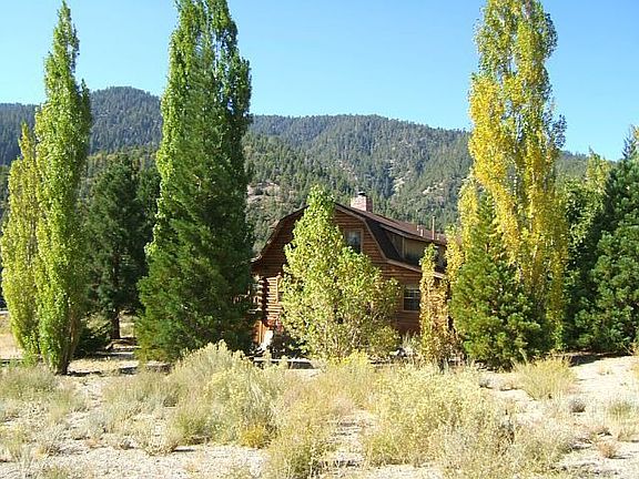 View from Side Yard