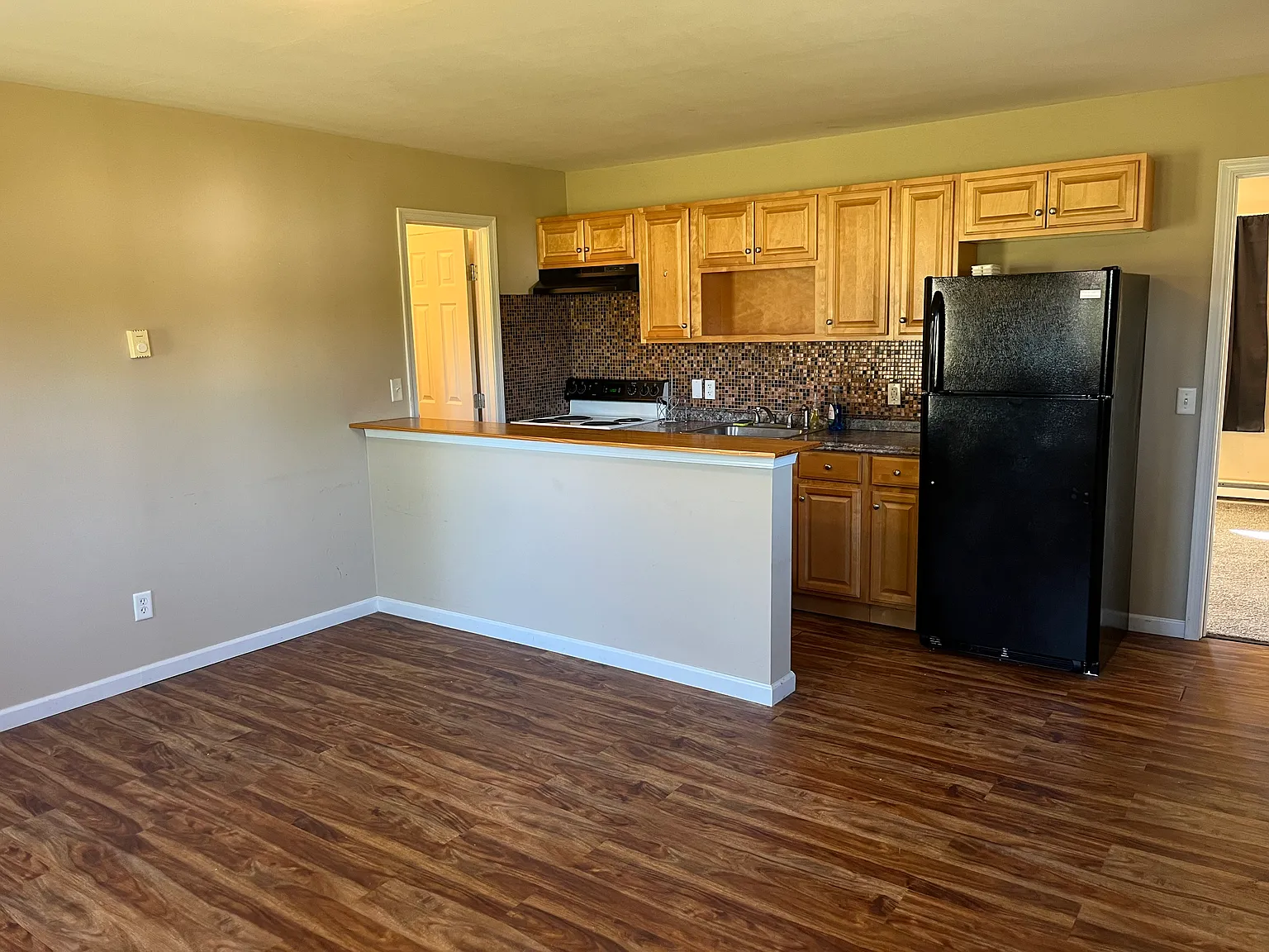 213 Lamplight Dr APT 1 photo 1