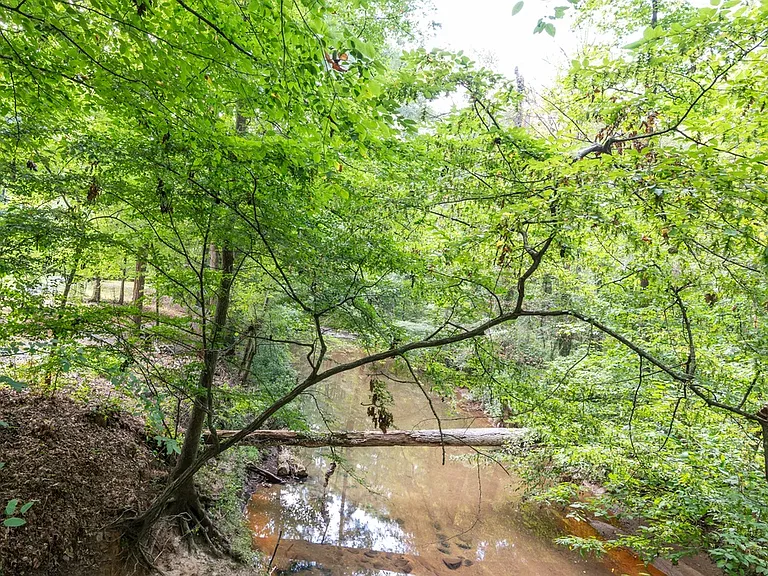 The Falls at Sope Creek Apartments — Photo 12