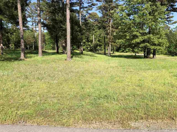 45 South Dr #53R, Higden, AR 72067