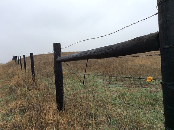 South Fence Line