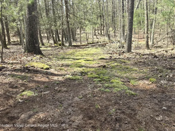 Lot #5 Evergreen Drive, Saugerties, NY 12477