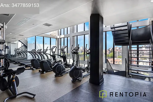 Rented by Rentopia | media 51