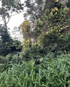 Alapai St, Pahoa, HI, 96778