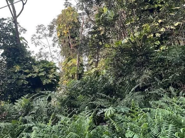Alapai St Lot 28, Pahoa, HI 96778
