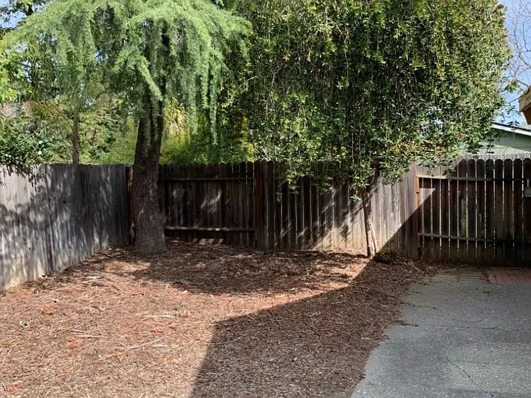 405 Jardin Pl — Photo 13