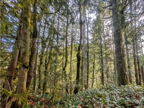 971354 E Rolling Green Ct, Welches, OR 97067