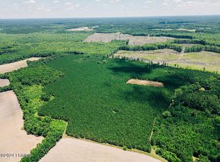 0 Varnadoe Rd, Islandton, SC 29929