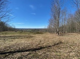 0 Sam Holdridge Rd, Garrattsville, NY 13342
