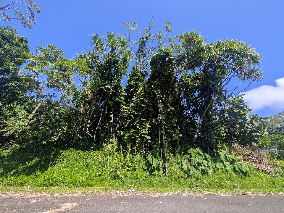 2nd image of 15-179 Puni Lani Loop S Lot 1719