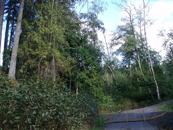 3rd image of 34578 Hood Canal Dr NE