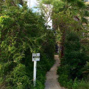 8865 E County Highway 30a, Inlet Beach, FL, 32461