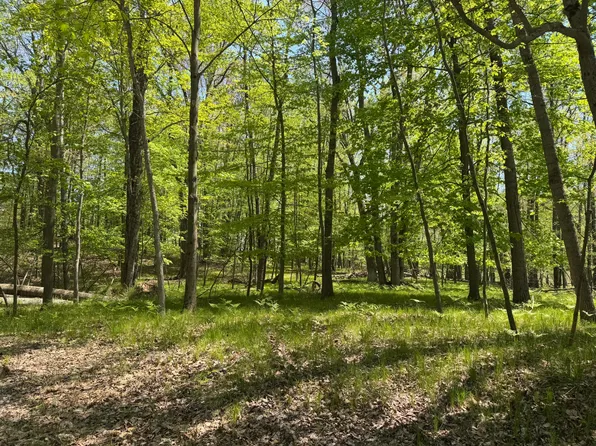 9236 Lost Canyon Ct, Stanwood, MI 49346