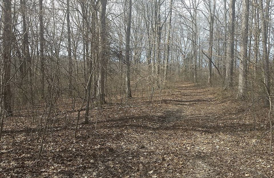 1st image of 505 Wondering Woods Dr