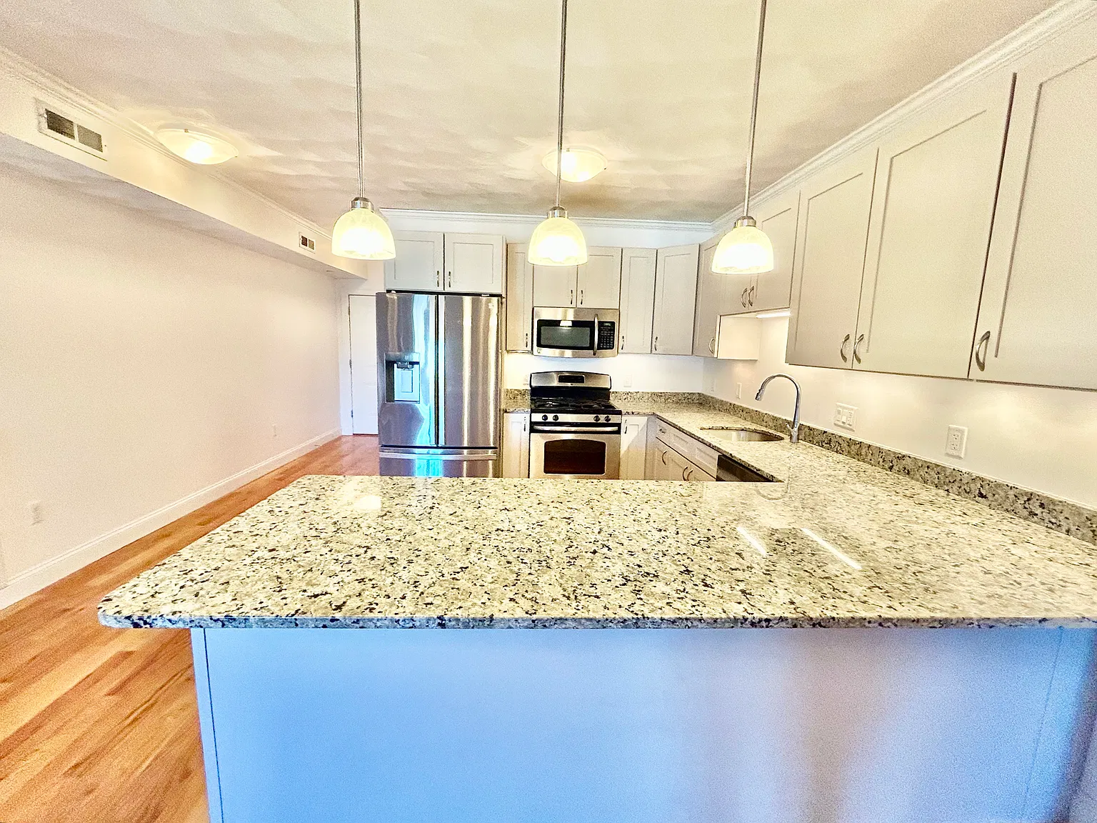 2 bed, 1133 sqft, $3,000 — Photo 4