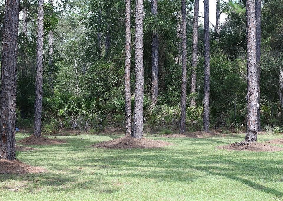 1st image of 11254 W Acacia Dr