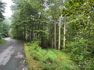 100 S Lindon Cove Rd #35-36, Candler, NC 28715