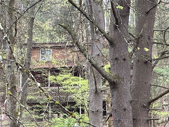 4th image of 357 Pineville Rd