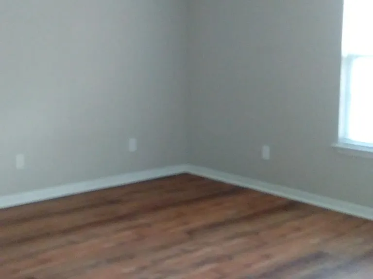 220 Dawsons Park Dr — Photo 5