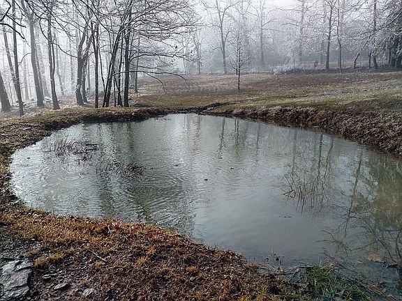 5th image of 8109 Summit Rd