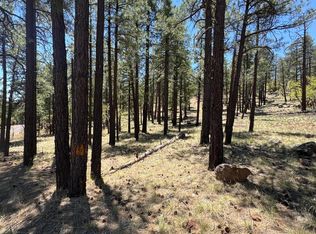 1575 Pine Meadow Dr, Williams, AZ 86046