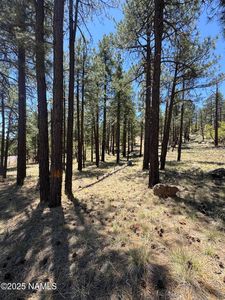1575 Pine Meadow Dr, Williams, AZ, 86046