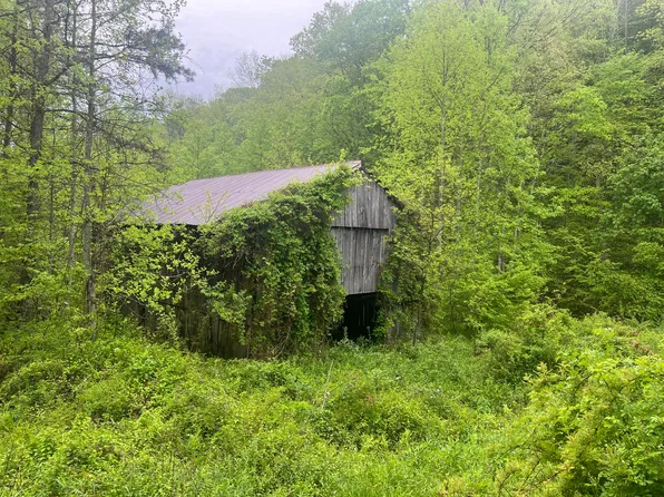 9999 Brushy Fork Rd, West Liberty, KY 41472