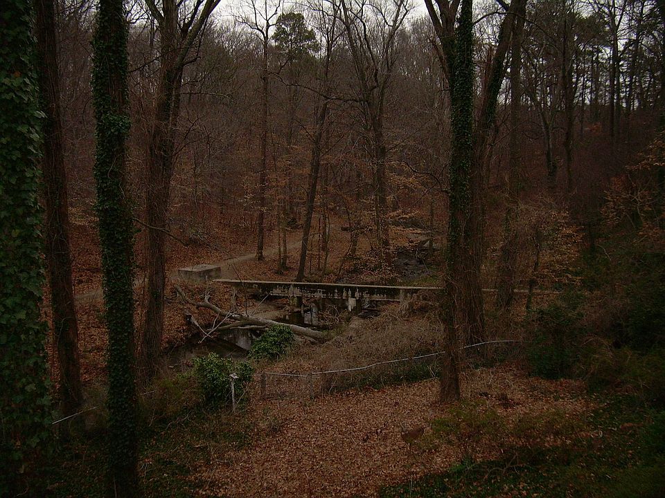 view, note deer at bottom of picture