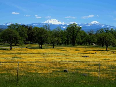 21675 Wildcat Rd, Paynes Creek, CA, 96075