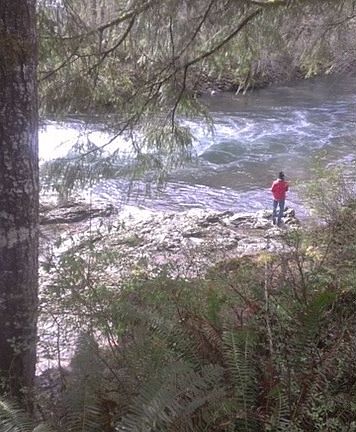 4th image of 48703 Wilson River Hwy