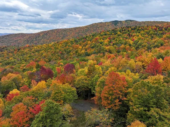 TBD Warren Mountain Road, Roxbury, VT 05669