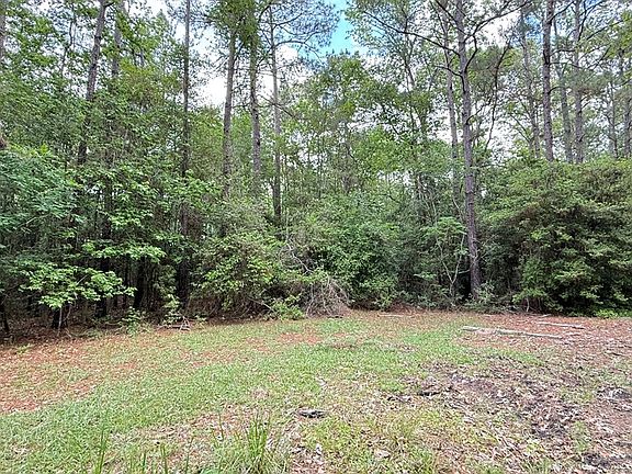5th image of R034748 Flatwood Dr