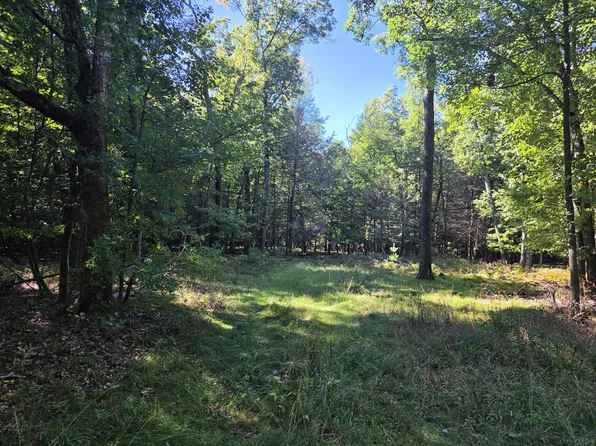 Vl Indian Bay Road Acres #11.5, Montague, MI 49437