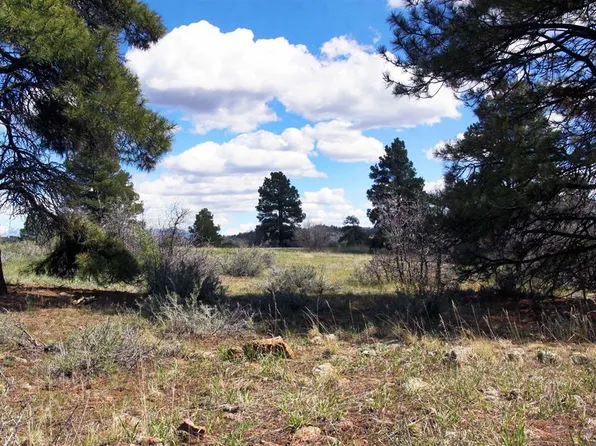 444 Prospect Boulevard, Pagosa Springs, CO 81147