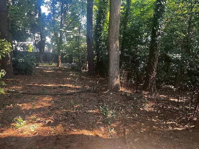 Private Lot Woods in Back