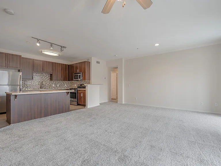 Carmel Creek — Photo 18