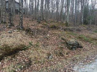 223 Spring Branch Rd, Banner Elk, NC 28604