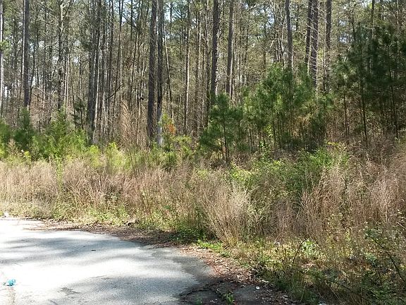 2nd image of 520 Penny Lane