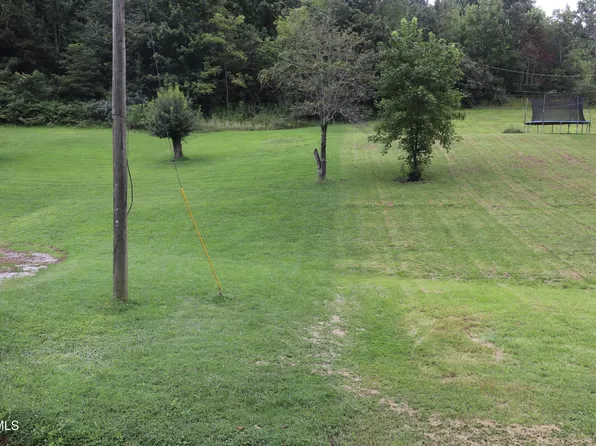 499 Rodefer Hollow Rd, Blountville, TN 37617
