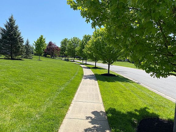 4th image of 7363 Cedarcrest Dr